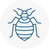 Bed Bug Extermination In Skegness
