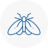 Moth Control Specialists In Skegness