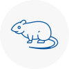 Rat Control Skegness