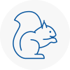 Skegness Rodent Removals